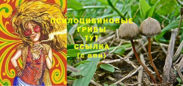 Альфа ПВП Беломорск