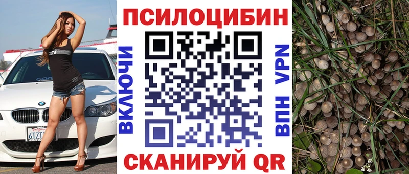 Галлюциногенные грибы Psilocybine cubensis Ижевск